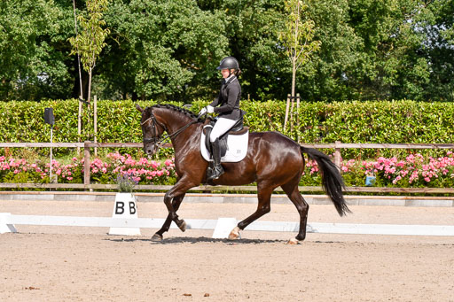 Klkein Offenseth 1.8.2021 | 01082021 Dressur M 2+ +_125 