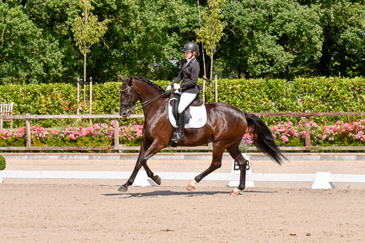 Klkein Offenseth 1.8.2021 | 01082021 Dressur M 2+ +_126 