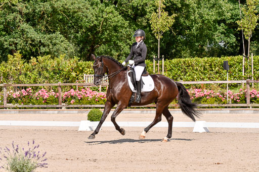 Klkein Offenseth 1.8.2021 | 01082021 Dressur M 2+ +_127 