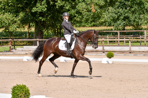 Klkein Offenseth 1.8.2021 | 01082021 Dressur M 2+ +_128 