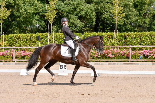 Klkein Offenseth 1.8.2021 | 01082021 Dressur M 2+ +_129 