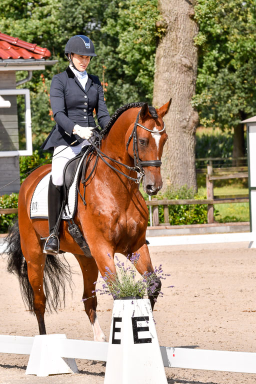 Klkein Offenseth 1.8.2021 | 01082021 Dressur M 2+ +_134 