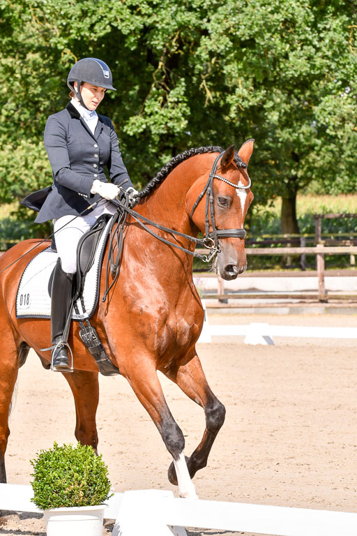 Klkein Offenseth 1.8.2021 | 01082021 Dressur M 2+ +_135 