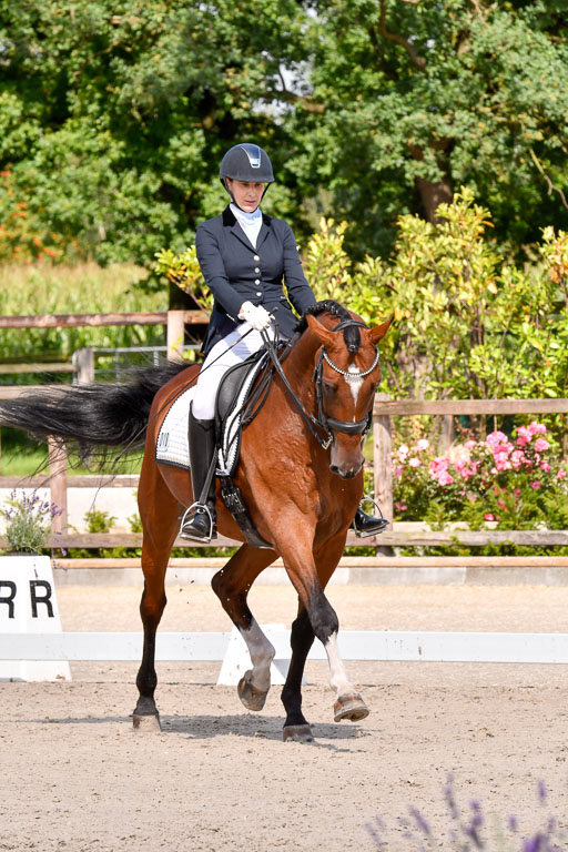 Klkein Offenseth 1.8.2021 | 01082021 Dressur M 2+ +_136 