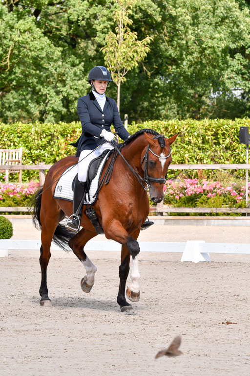 Klkein Offenseth 1.8.2021 | 01082021 Dressur M 2+ +_137 