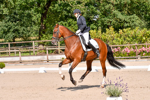 Klkein Offenseth 1.8.2021 | 01082021 Dressur M 2+ +_144 