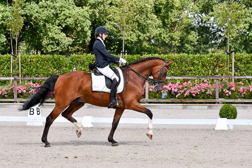 Klkein Offenseth 1.8.2021 | 01082021 Dressur M 2+ +_148 