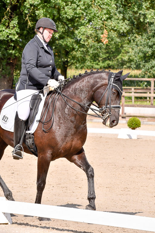 Klkein Offenseth 1.8.2021 | 01082021 Dressur M 2+ +_151 