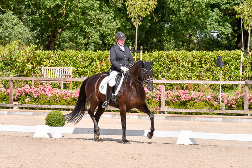 Klkein Offenseth 1.8.2021 | 01082021 Dressur M 2+ +_155 