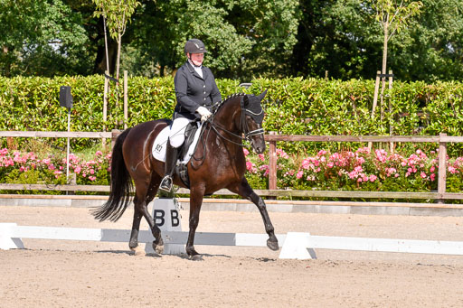 Klkein Offenseth 1.8.2021 | 01082021 Dressur M 2+ +_156 