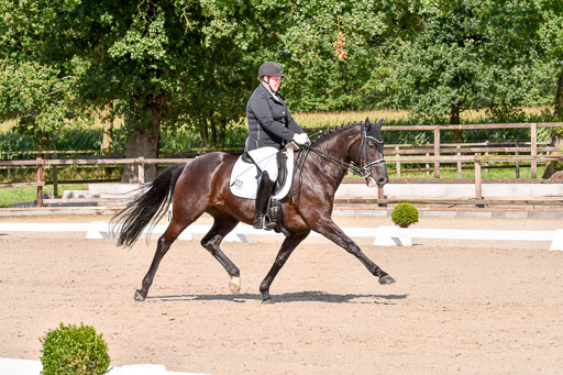 Klkein Offenseth 1.8.2021 | 01082021 Dressur M 2+ +_161 