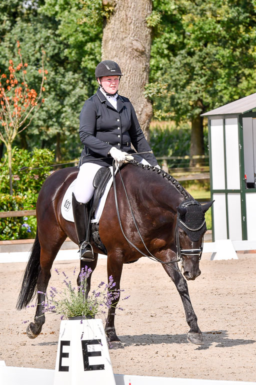 Klkein Offenseth 1.8.2021 | 01082021 Dressur M 2+ +_162 