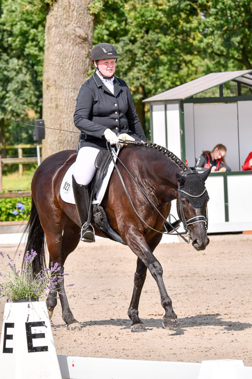 Klkein Offenseth 1.8.2021 | 01082021 Dressur M 2+ +_163 