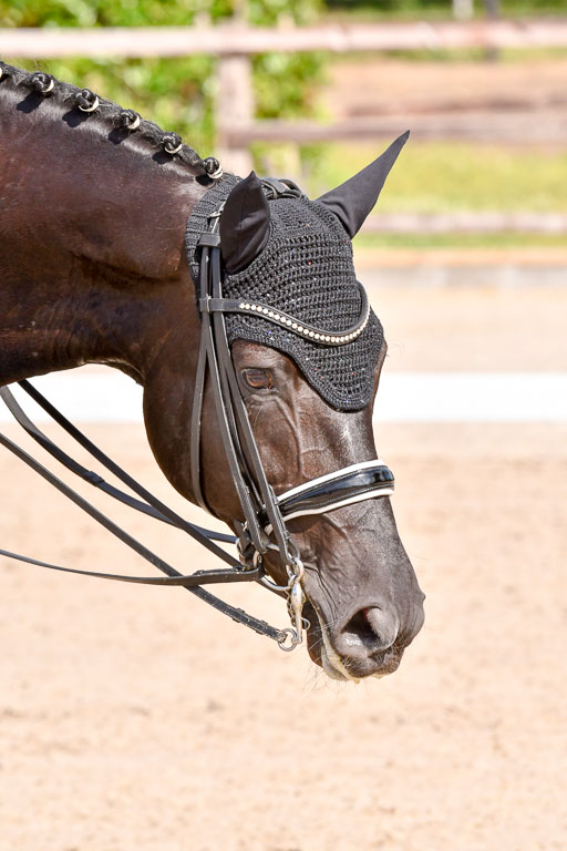 Klkein Offenseth 1.8.2021 | 01082021 Dressur M 2+ +_165 