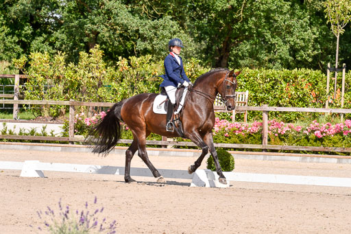 Klkein Offenseth 1.8.2021 | 01082021 Dressur M 2+ +_168 