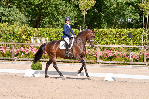 Klkein Offenseth 1.8.2021 | 01082021 Dressur M 2+ +_169 