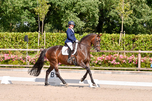 Klkein Offenseth 1.8.2021 | 01082021 Dressur M 2+ +_171 