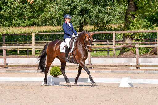 Klkein Offenseth 1.8.2021 | 01082021 Dressur M 2+ +_174 