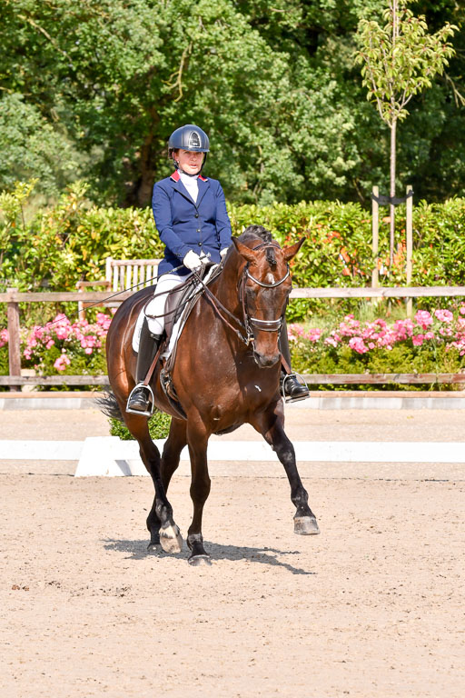 Klkein Offenseth 1.8.2021 | 01082021 Dressur M 2+ +_178 