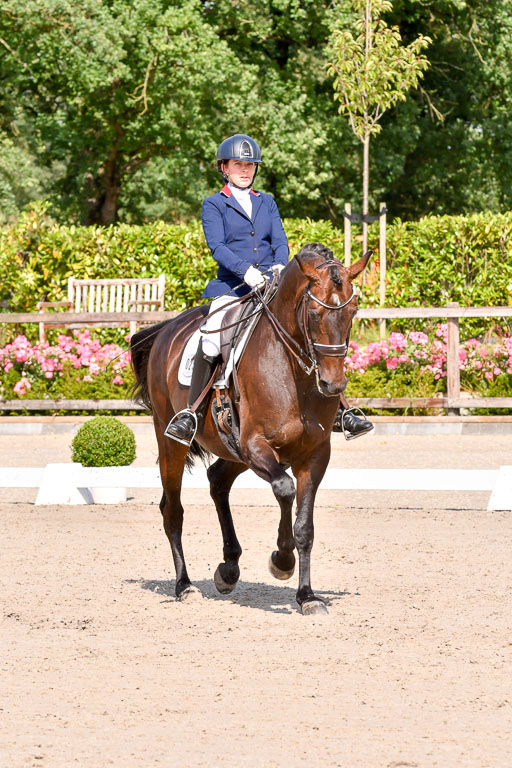 Klkein Offenseth 1.8.2021 | 01082021 Dressur M 2+ +_179 