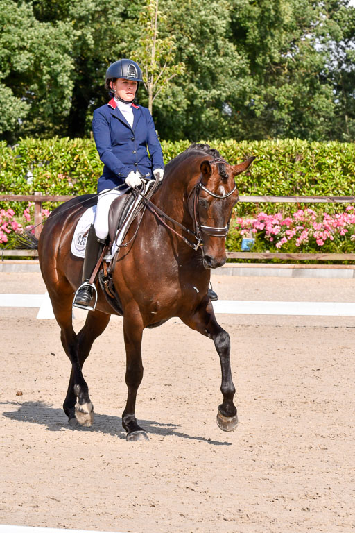 Klkein Offenseth 1.8.2021 | 01082021 Dressur M 2+ +_183 