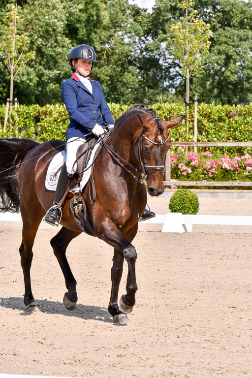 Klkein Offenseth 1.8.2021 | 01082021 Dressur M 2+ +_184 