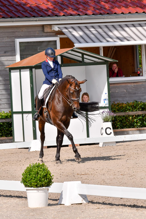 Klkein Offenseth 1.8.2021 | 01082021 Dressur M 2+ +_185 