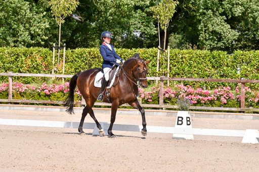 Klkein Offenseth 1.8.2021 | 01082021 Dressur M 2+ +_186 