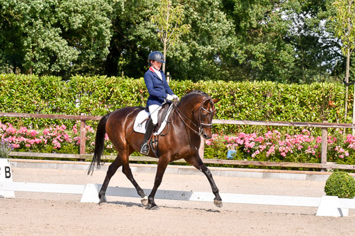 Klkein Offenseth 1.8.2021 | 01082021 Dressur M 2+ +_187 