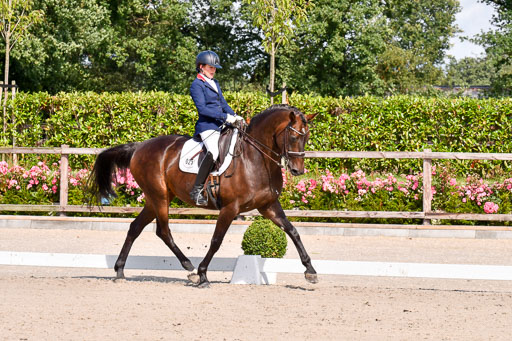 Klkein Offenseth 1.8.2021 | 01082021 Dressur M 2+ +_188 