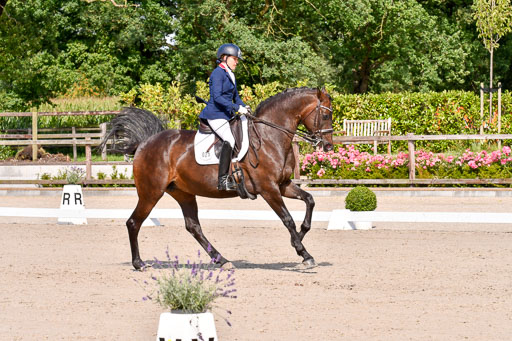 Klkein Offenseth 1.8.2021 | 01082021 Dressur M 2+ +_191 