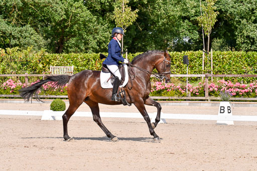 Klkein Offenseth 1.8.2021 | 01082021 Dressur M 2+ +_192 