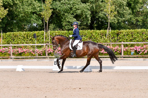 Klkein Offenseth 1.8.2021 | 01082021 Dressur M 2+ +_193 