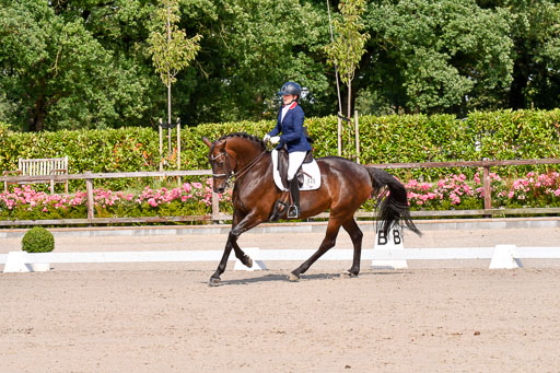 Klkein Offenseth 1.8.2021 | 01082021 Dressur M 2+ +_194 