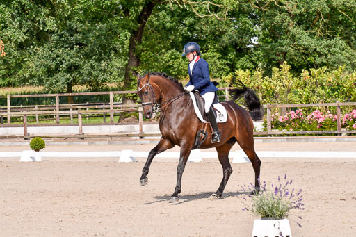 Klkein Offenseth 1.8.2021 | 01082021 Dressur M 2+ +_195 