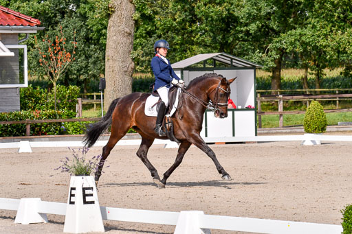 Klkein Offenseth 1.8.2021 | 01082021 Dressur M 2+ +_196 