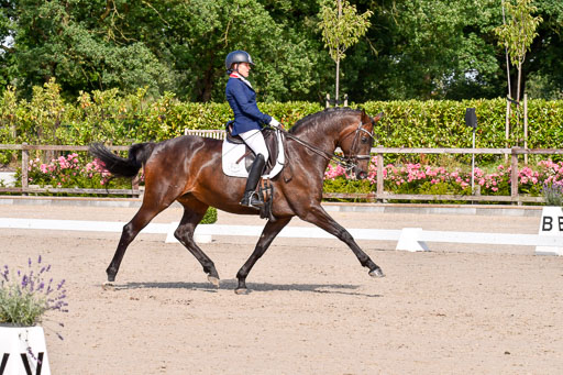 Klkein Offenseth 1.8.2021 | 01082021 Dressur M 2+ +_199 