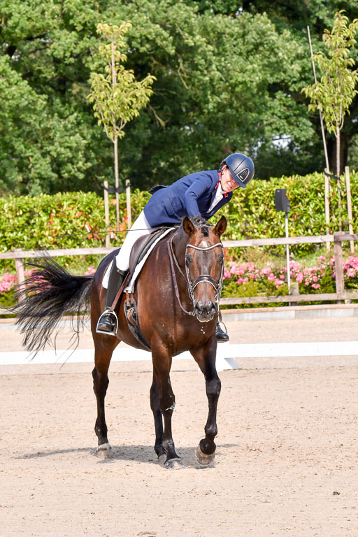 Klkein Offenseth 1.8.2021 | 01082021 Dressur M 2+ +_202 