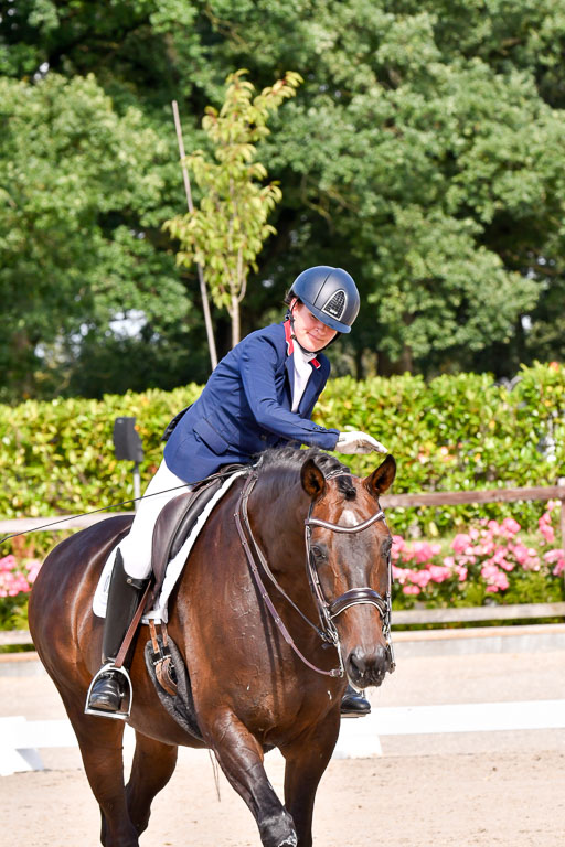 Klkein Offenseth 1.8.2021 | 01082021 Dressur M 2+ +_204 