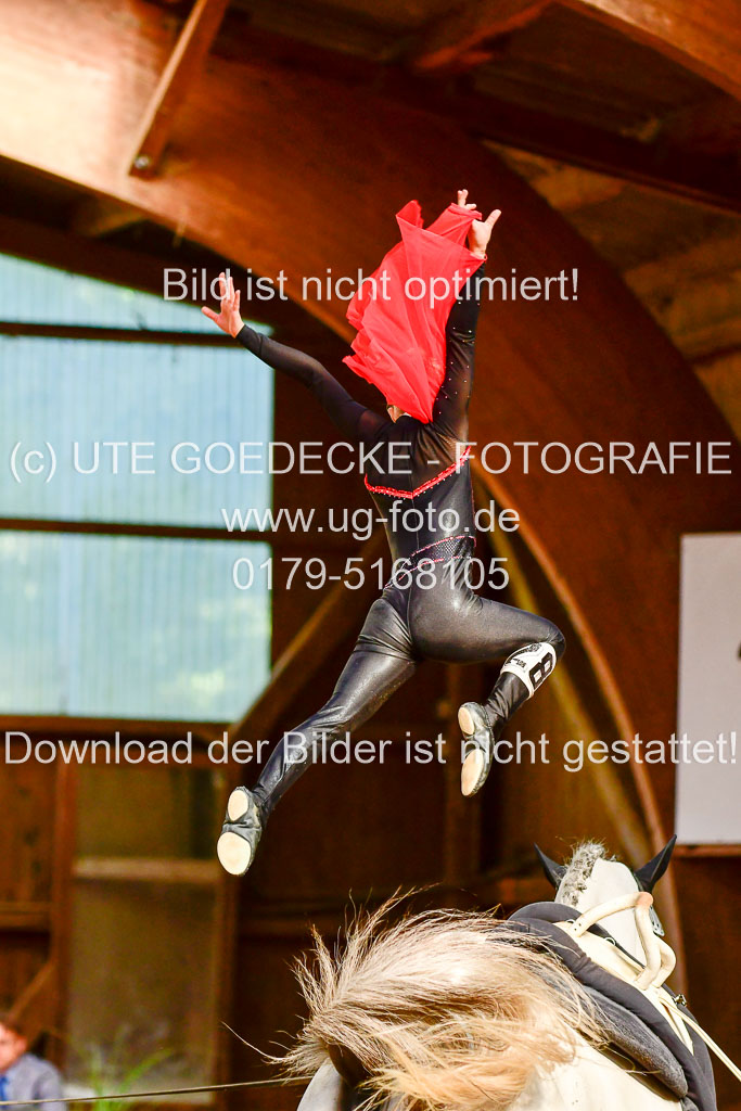 Landesmeisterschaften Voltigieren HH / SH 2021 | Children Kür _09