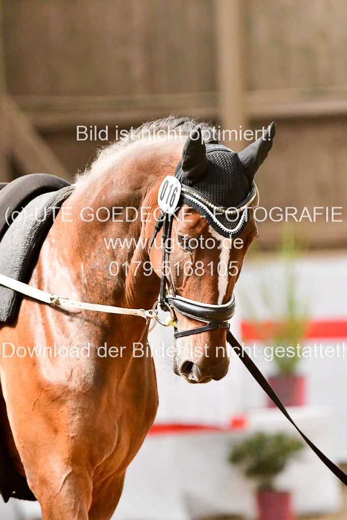  | Einzel Senioren Kür_157 