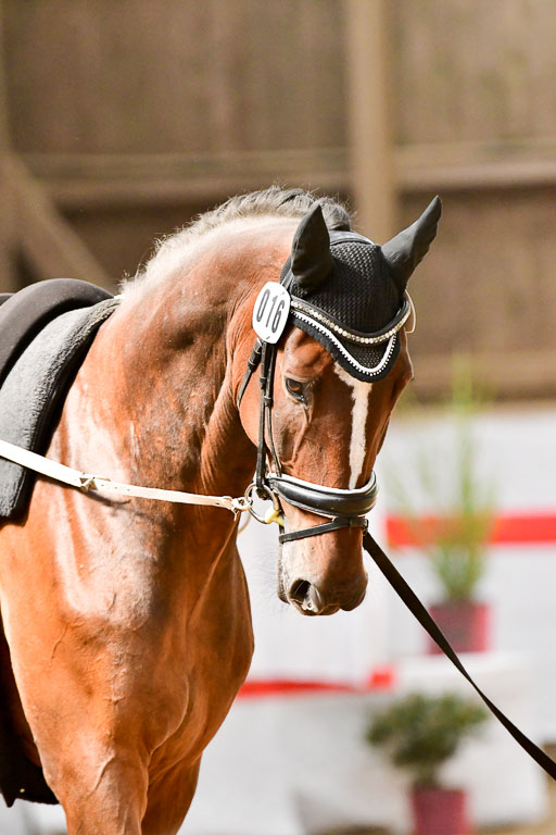  | Einzel Senioren Kür_157 