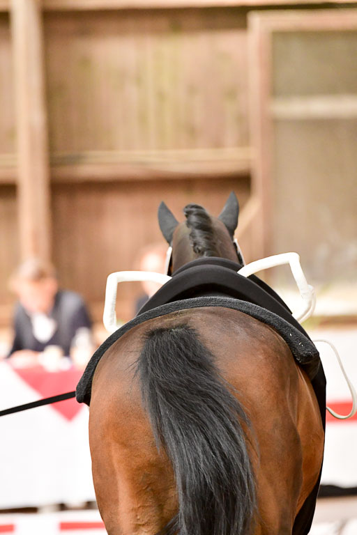  | Einzel Senioren Kür_158 