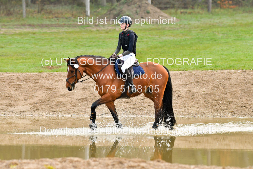 Luhmühlen Stilgeländeritt A  02.05.21 | 020521 Stilgeländeritt A+ _010 