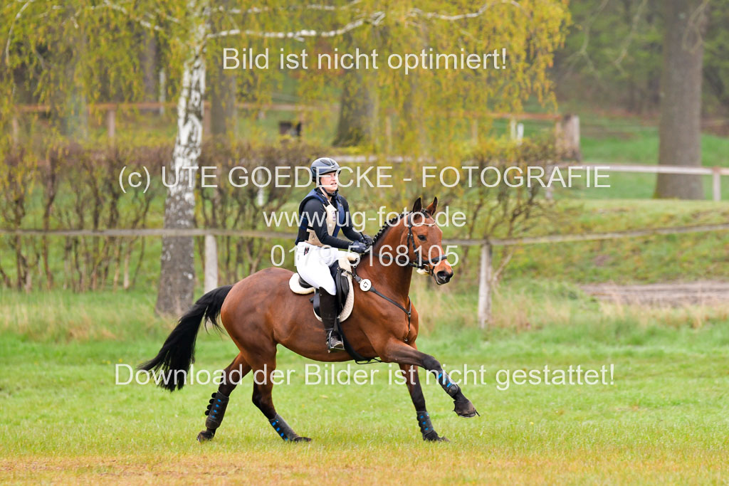 Luhmühlen Stilgeländeritt A  02.05.21 | 020521 Stilgeländeritt A+ _163 