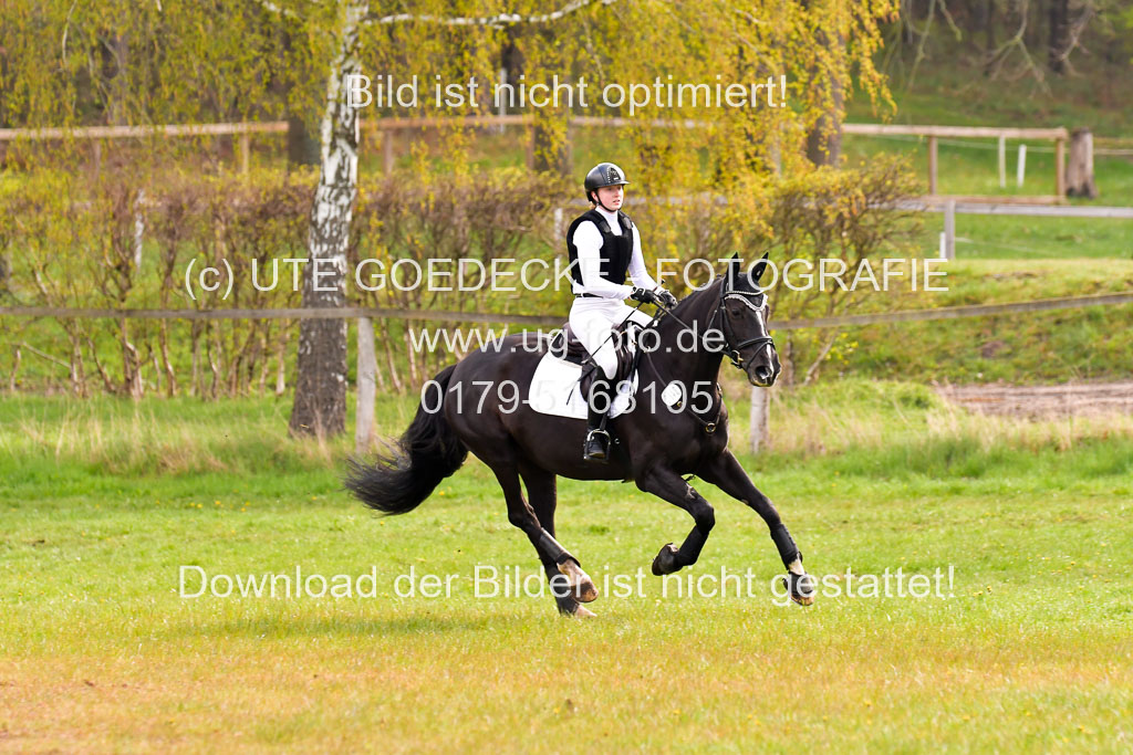 Luhmühlen Stilgeländeritt A  02.05.21 | 020521 Stilgeländeritt A+ _432 