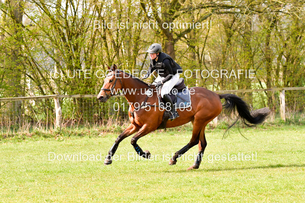 Luhmühlen Stilgeländeritt A  02.05.21 | 020521 Stilgeländeritt A+ _494 