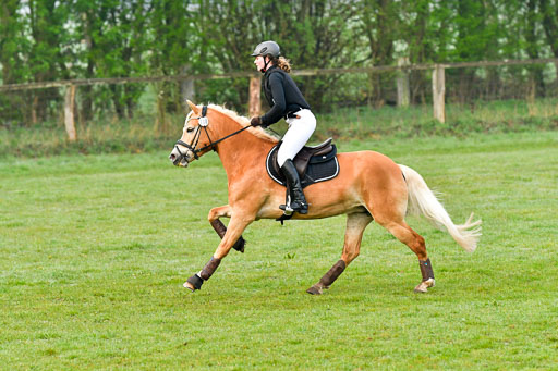 Luhmühlen Stilgeländeritt A  02.05.21 | 020521 Stilgeländeritt A+ _017 