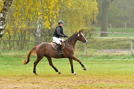 Luhmühlen Stilgeländeritt A  02.05.21 | 020521 Stilgeländeritt A+ _035 
