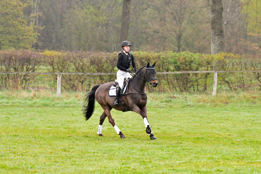 Luhmühlen Stilgeländeritt A  02.05.21 | 020521 Stilgeländeritt A+ _125 